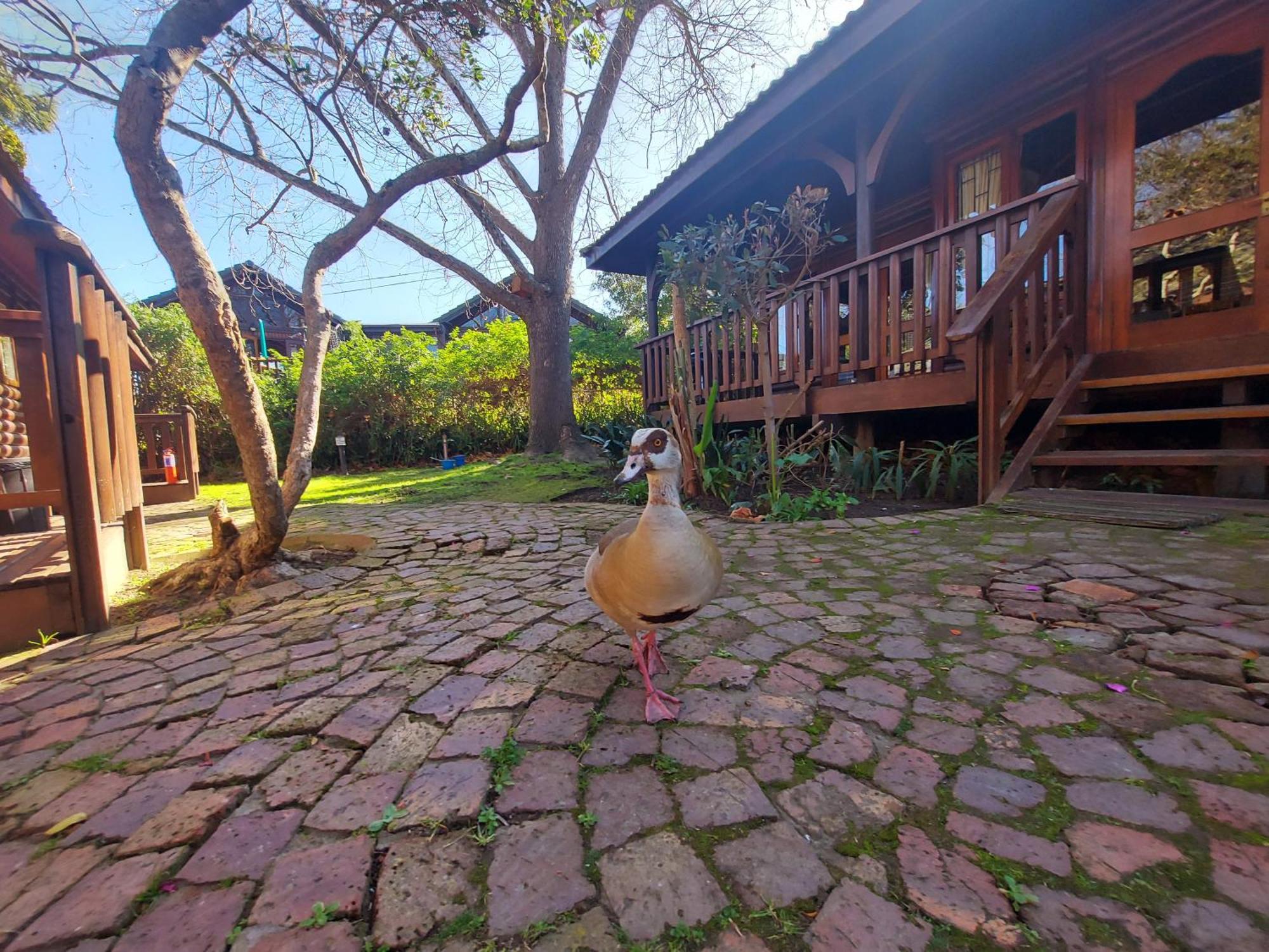 First Group Knysna River Club Exterior photo